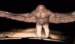 官方爆料的恐怖生物视频,官方视频揭秘未知生物之谜